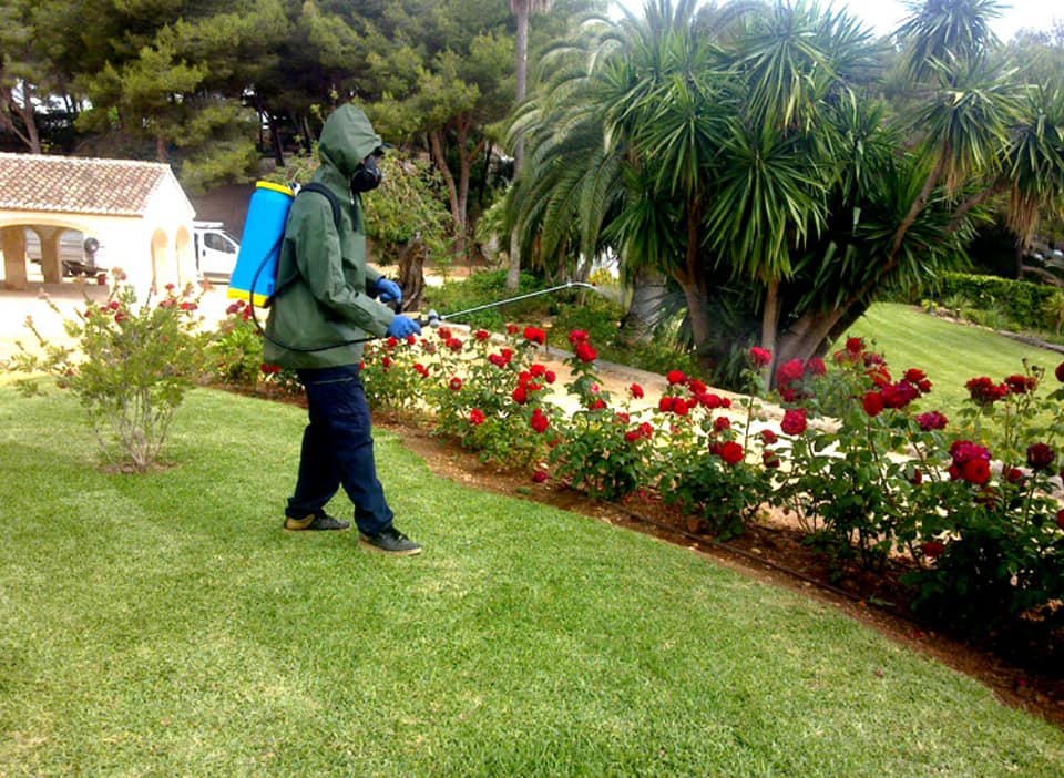 Jardinería